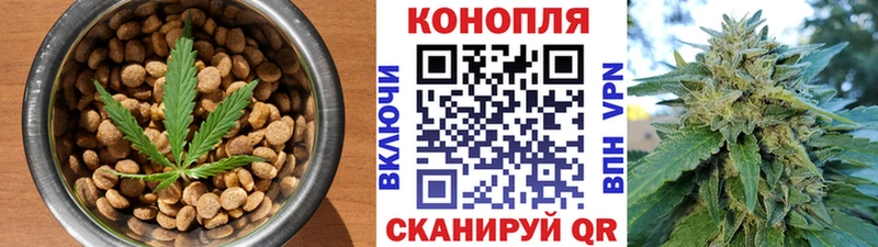 ОМГ ОМГ ссылка  Кинель  Canna-Cookies конопля 
