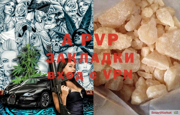 крисы Гатчина
