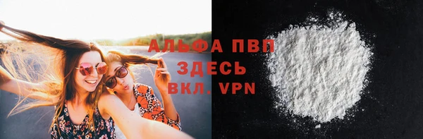 гашик Арсеньев