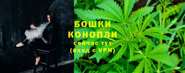 гашик Арсеньев