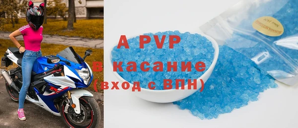 гашик Арсеньев